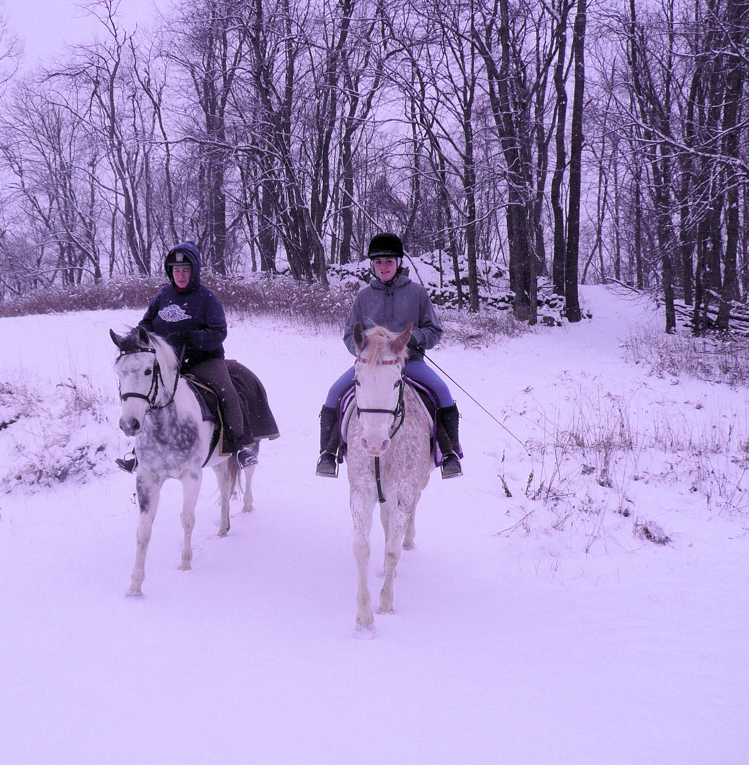 Karma, on he right, with her owner, Sadie.